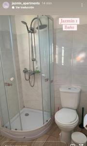 a bathroom with a shower and a toilet at jazmin1 in Colonia del Sacramento