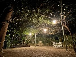 A garden outside Casale Scola Cetona