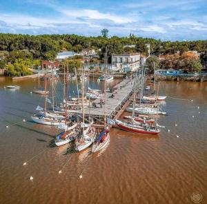 a bunch of boats are docked in the water at jazmin1 in Colonia del Sacramento