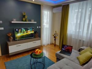 een woonkamer met een bank en een tv bij Apartman Montis Zlatibor in Zlatibor