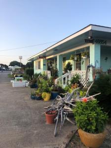 Ein Garten an der Unterkunft Swell Motel