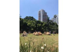 Animales en el apartamento o alrededores