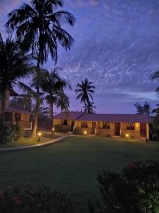 a house with palm trees and lights at night at Arco Mundial Taíba in Taíba