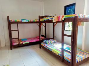 A bunk bed or bunk beds in a room at James Homestay