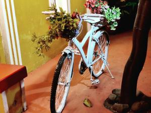パナジにあるSerene Waters Homestay Goaの花の壁の隣に自転車が停まっている