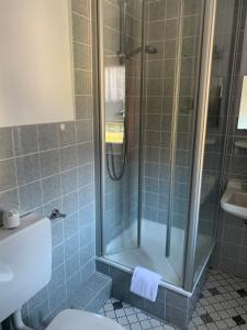 uma casa de banho com um chuveiro, um WC e um lavatório. em Garni Hotel im Fachwerkhof em Einruhr