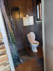 a bathroom with a toilet and a shower at Le refuge in Hastière-par-delà +28 photos