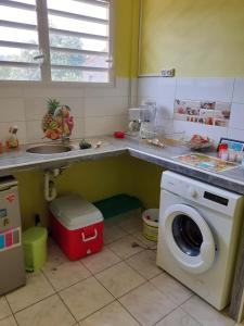 Il comprend une cuisine équipée d'un lave-linge et d'un évier. dans l'établissement Appartement de 2 chambres avec balcon et wifi a Sainte Marie a 6 km de la plage, à Sainte-Marie