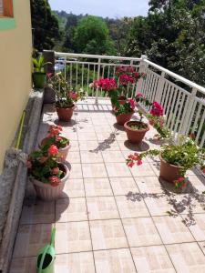 une rangée de plantes en pot sur un balcon dans l'établissement Appartement de 2 chambres avec balcon et wifi a Sainte Marie a 6 km de la plage, à Sainte-Marie