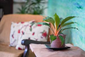 Fotografie z fotogalerie ubytování TARASA HOSTEL v destinaci Manila