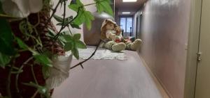 deux ours en peluche assis sur le sol dans un couloir dans l'établissement Da Gianni Hotel, à Zogno