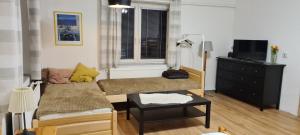 TV a/nebo společenská místnost v ubytování Apartmán 33