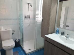 a bathroom with a shower and a toilet and a sink at Bonito apartamento en Baeza in Baeza
