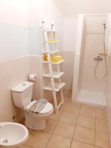 a bathroom with a toilet and a ladder in it at Casale Praia in Letojanni