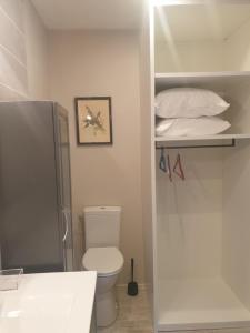 a bathroom with a toilet and a shelf with towels at Au Clos du Bourg in Blasimon