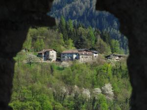 a group of houses on a hill with trees at PANEERIPOSO in Pergine Valsugana