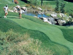 Golf v hotelu nebo okolí