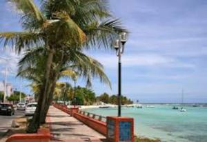 un semaforo e palme accanto all'oceano di Villa Abricot Moderne a Sainte-Anne