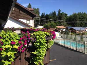 Bazén v ubytování Linderhof Inn nebo v jeho okolí