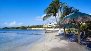 a beach with chairs and umbrellas and palm trees at Las Palmas - New Horizon in Dixon Cove