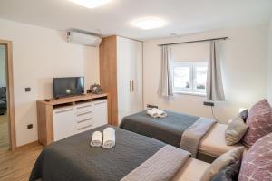 ein Hotelzimmer mit 2 Betten und einem TV in der Unterkunft Hotel Smrž in Sepekov