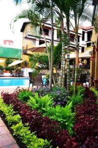 Hotel Rinconada de Cortes في كويرنافاكا: حديقة فيها نخيل وزهور امام مبنى