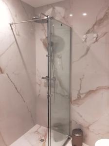 y baño con ducha y puerta de cristal. en Apartamento Wamba - La Catedral, en Oviedo