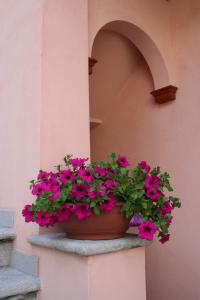 a pot of pink flowers on a window sill at Le Petit Coin De Maison Chante Lune in Introd