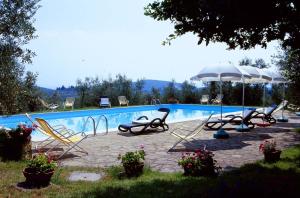 The swimming pool at or close to Fattoria Casa Sola