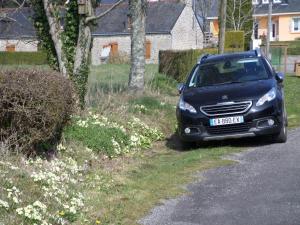 Saint-Tugdual的住宿－La Maison bleu，停在路边的一辆黑色汽车