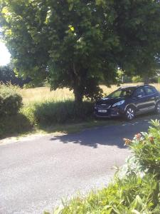 ein Auto, das unter einem Baum am Straßenrand geparkt ist in der Unterkunft La Maison bleu in Saint-Tugdual