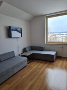 a living room with two beds and a window at Apartamenty Pod Dachem in Lutowiska
