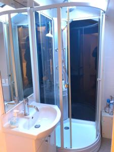 een badkamer met een douche en een wastafel bij L'appartement à la campagne in Vermenton