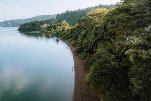 vistas a un río con árboles y a la playa en Kunken Boutique Hotel & Spa, en Puerto Jiménez