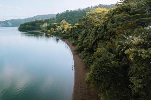 a view of a river with trees and a beach at Kunken Boutique Hotel in Puerto Jiménez