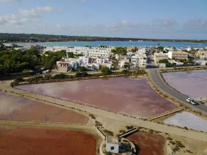 an aerial view of a beach with houses and buildings at Apartamentos Mar y Sal in La Savina