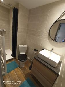 bagno con lavandino, servizi igienici e specchio di STUDIO COSY a Cap d'Agde