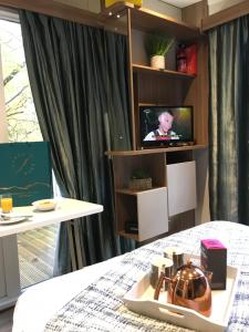 Gallery image of P72 - Swift Pod with Hot Tub in Bangor