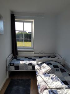 a bedroom with a bed and a window at Am Pool und Strand 11 in Barendorf