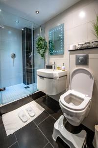 a bathroom with a toilet and a sink and a shower at Jay's Apartment Aberdeen in Aberdeen