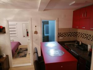 Dapur atau dapur kecil di Apartman Zlatar Omiljena
