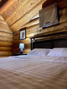 a bedroom with a bed with a tv on the wall at Будинок в горах in Polyana