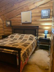 1 dormitorio con 1 cama y TV en la pared en Будинок в горах, en Polyana