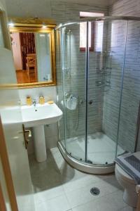 a bathroom with a shower and a sink at ΔΗΜΗΤΣΑΝΑΣ ΤΟΠΟΣ Νύμφη Δάφνη in Dhimitsana