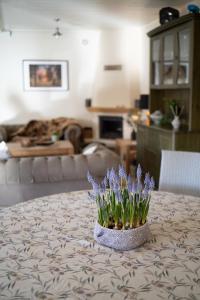 Posezení v ubytování Guest house in Dobele city center- Pilsētas Māja