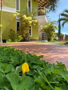 uma flor amarela num arbusto em frente a um edifício em Vila Miola Hotel em Porto Seguro