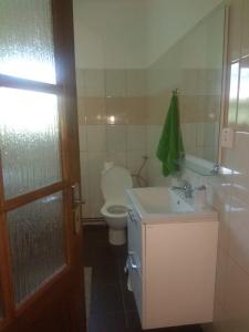 La salle de bains est pourvue de toilettes, d'un lavabo et d'une porte. dans l'établissement Rodinný dům Mikulov, à Mikulov