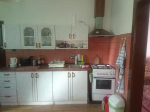 Kuchyň nebo kuchyňský kout v ubytování Rodinný dům Mikulov