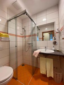a bathroom with a shower and a sink and a toilet at ROTHSEE Hotel in Allersberg