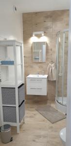 W łazience znajduje się biała umywalka i prysznic. w obiekcie Fairytales Apartment we Wrocławiu